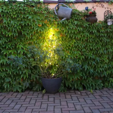 Kleines Zuhause