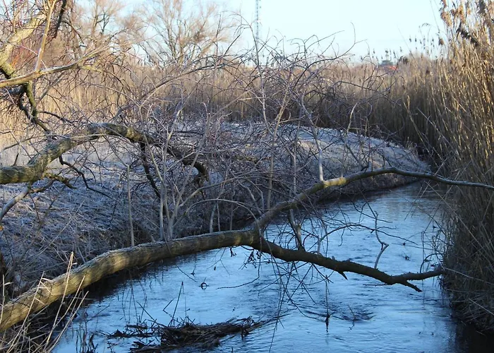 Apartment Kleines Zuhause *