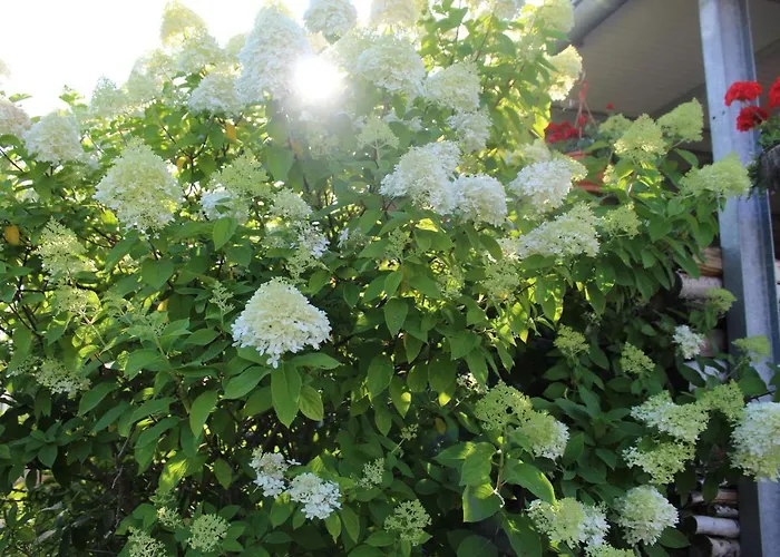 Kleines Zuhause アパート マクデブルク