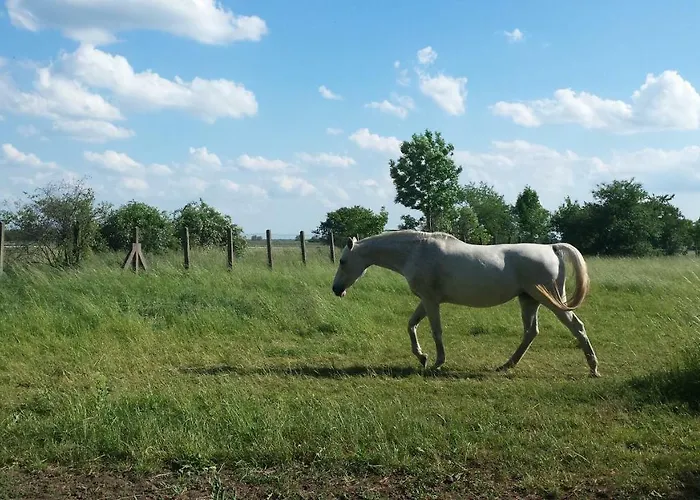 Kleines Zuhause Apartment